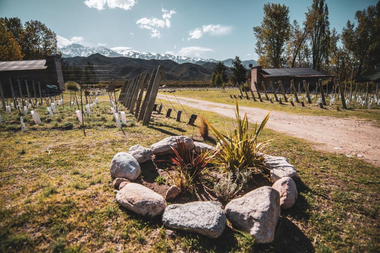 Ayres De Uco Lodge & Wine Lovers Los Árboles Eksteriør billede